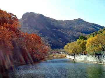 新澳门二四六天天彩，塑胶市场